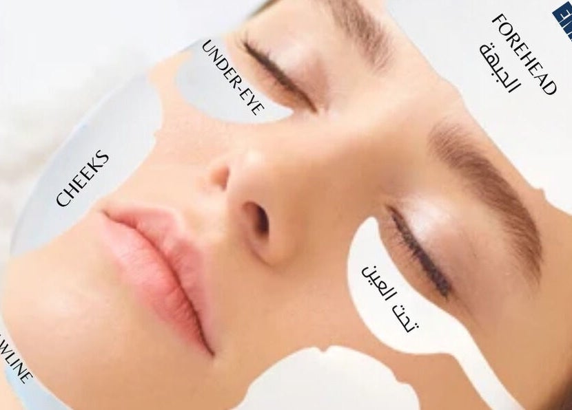 Facial treatment zones labeled at Le Noir Beauty Center, Abu Dhabi, AE. Experience targeted skin care.