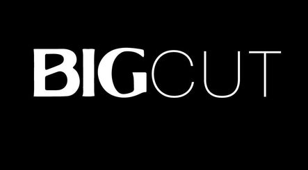 BigCut