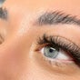 Bayside Lashes Studio