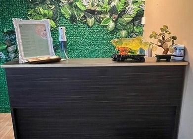 Reception at Pressure Point Wellness Spa, Antipolo, Calabarzon, PH with a lush green backdrop.