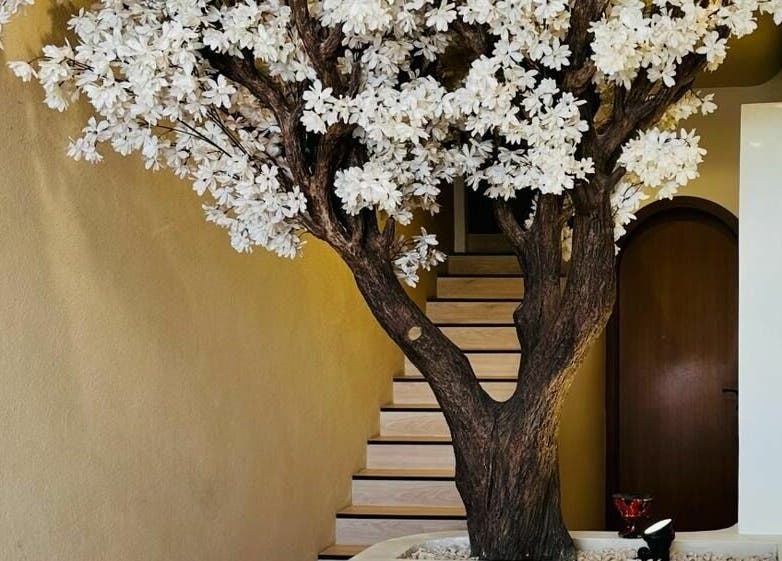 Beautiful white blossom tree at Anotha Beauty Salon entrance, Dubai, AE, enhancing the serene ambiance.