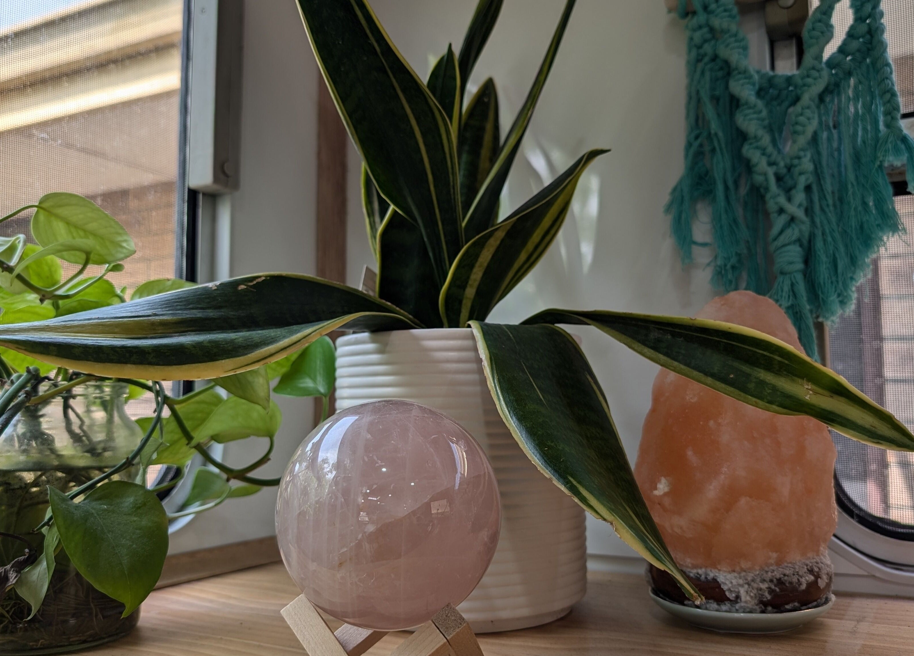 Peaceful plant and crystal display at Hair NV by Jade, Heathridge, Western Australia, AU.