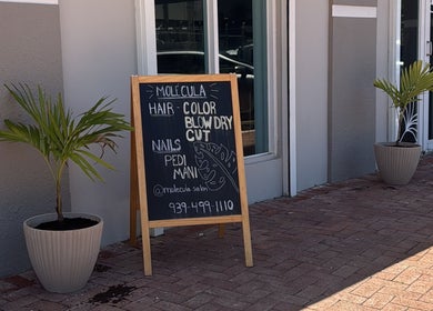 Cartel de servicios en Molecula con Edmarie Aviles, San Juan, San Juan, PR.