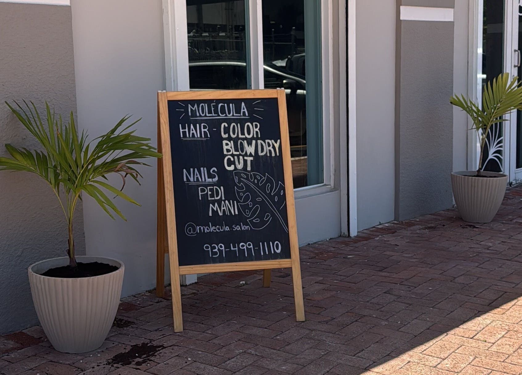 Cartel de servicios en Molecula con Edmarie Aviles, San Juan, San Juan, PR.