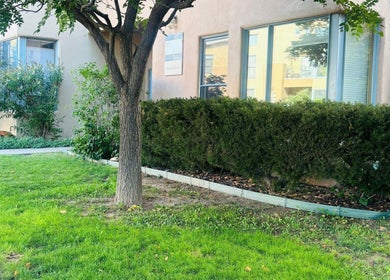 Green garden at Nova Beauty Boutique by Lupita Benavente, Santa Fe, New Mexico, US.