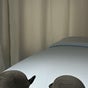 Lashed by Lorelai - 714 Willow Road, West Willow Woods, Guelph, Ontario