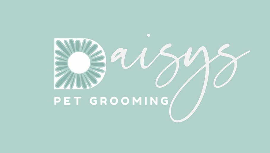 Daisys Pet Grooming afbeelding 1