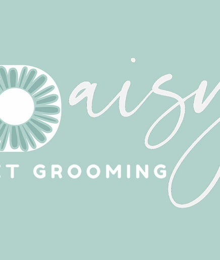 Daisys Pet Grooming image 2