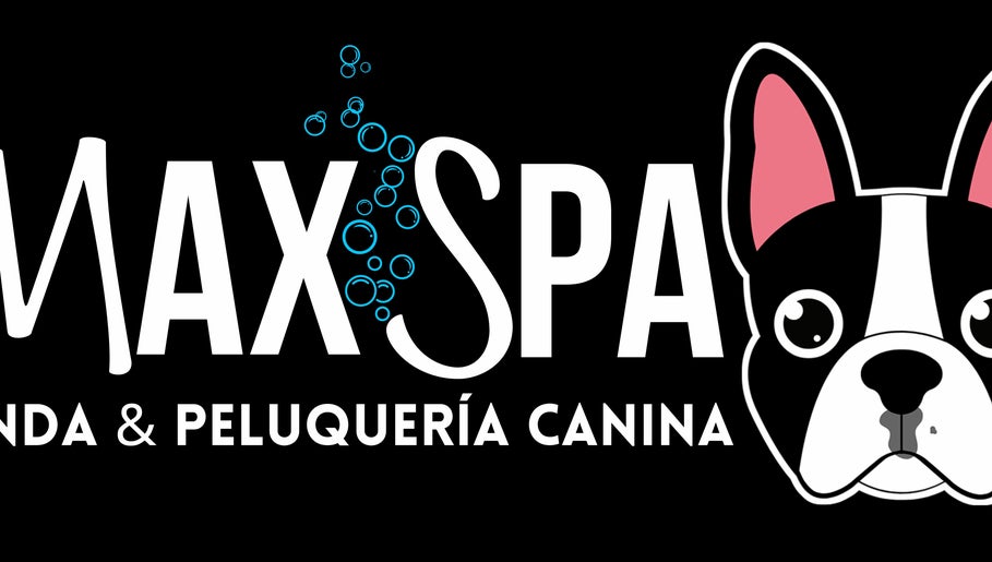 MAX SPA image 1