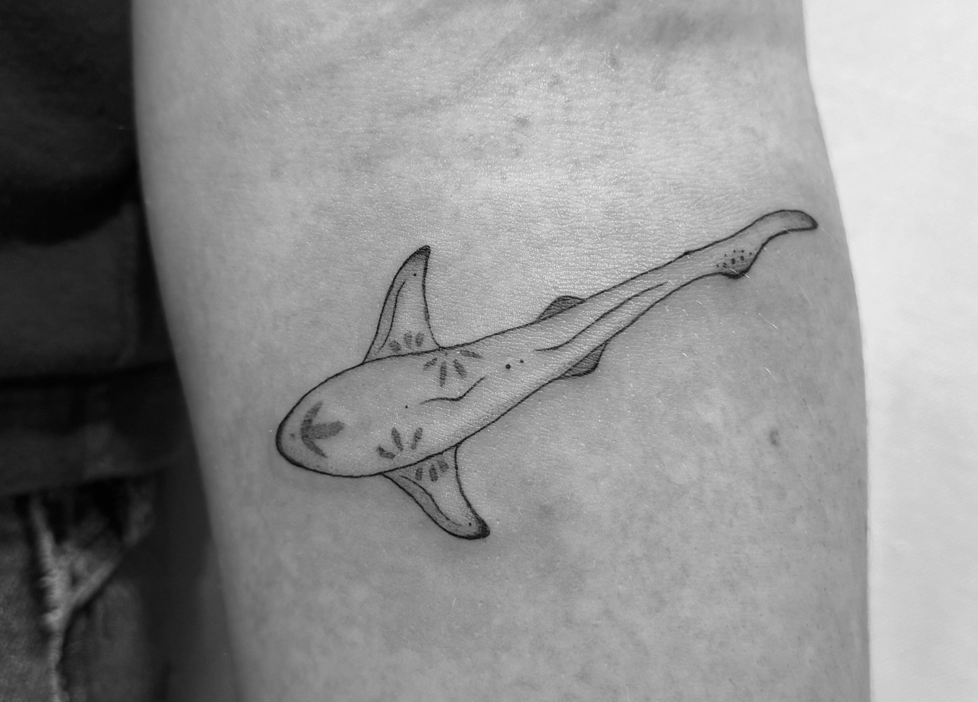 Delicate shark tattoo on arm at Cosmetic Artistry by Letitia in Brisbane, Queensland, AU.