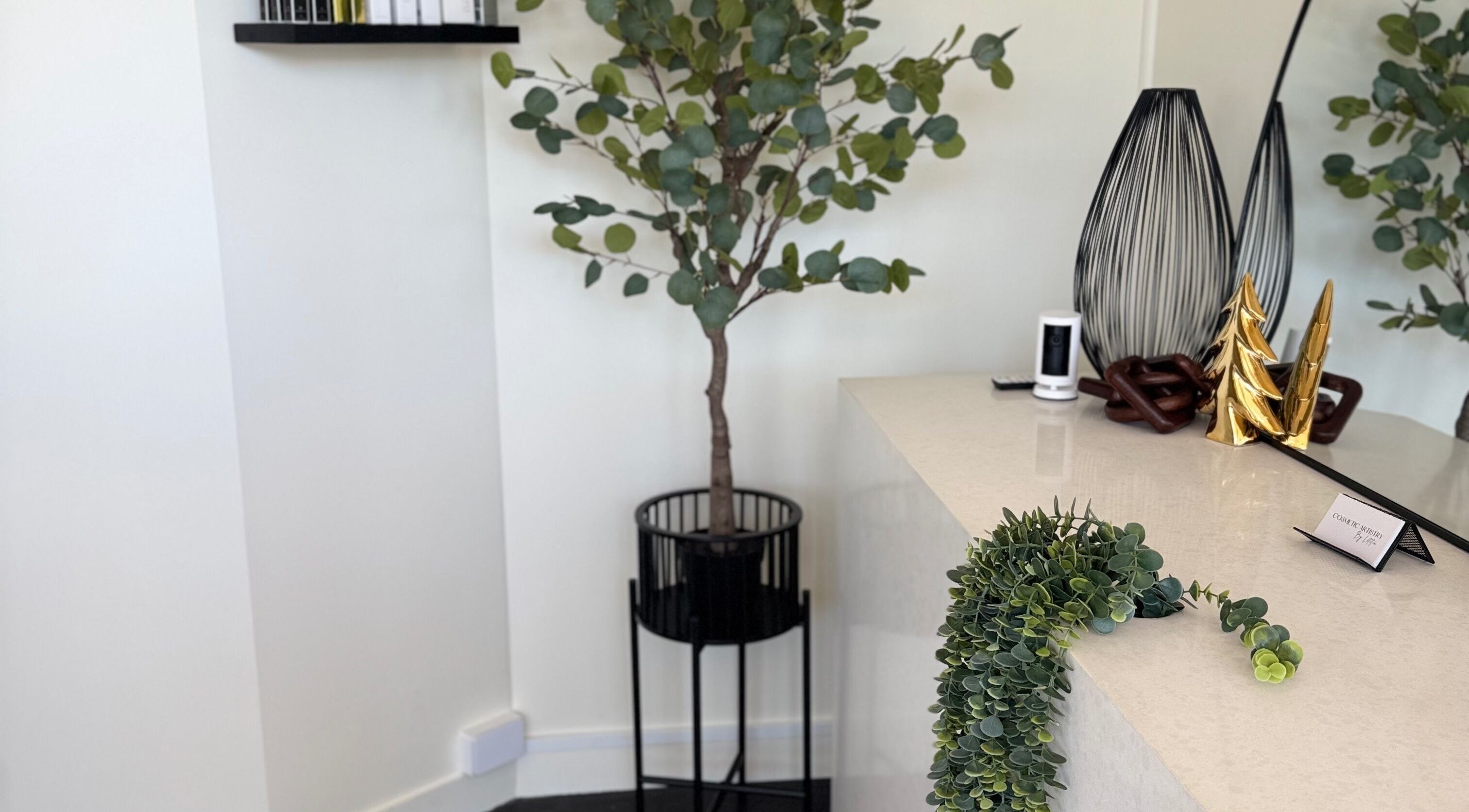 Elegant plant decor at Cosmetic Artistry by Letitia, Brisbane, Queensland, AU reception area.