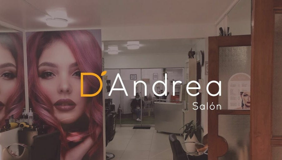 D' Andrea Salon image 1