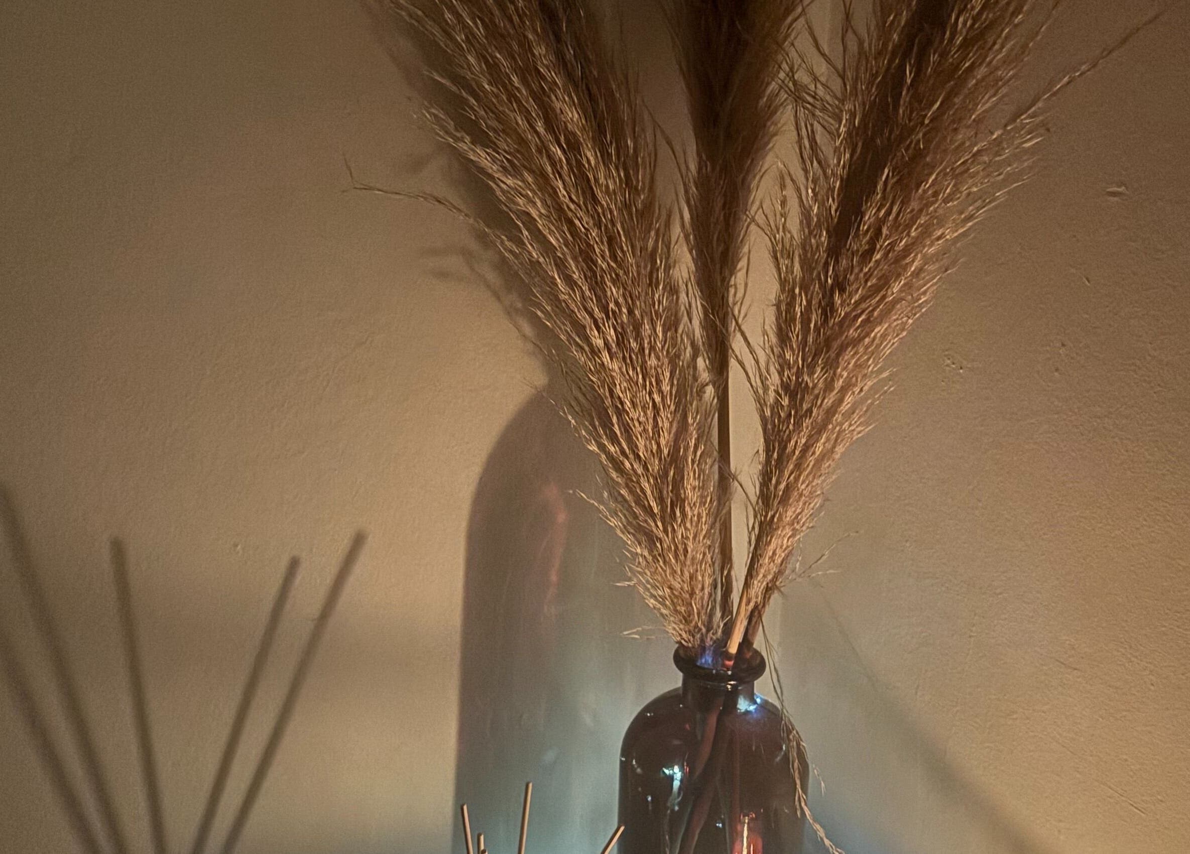 Elegant dried grasses in a vase at Wellness by Tamara, Kidderminster, England, GB.