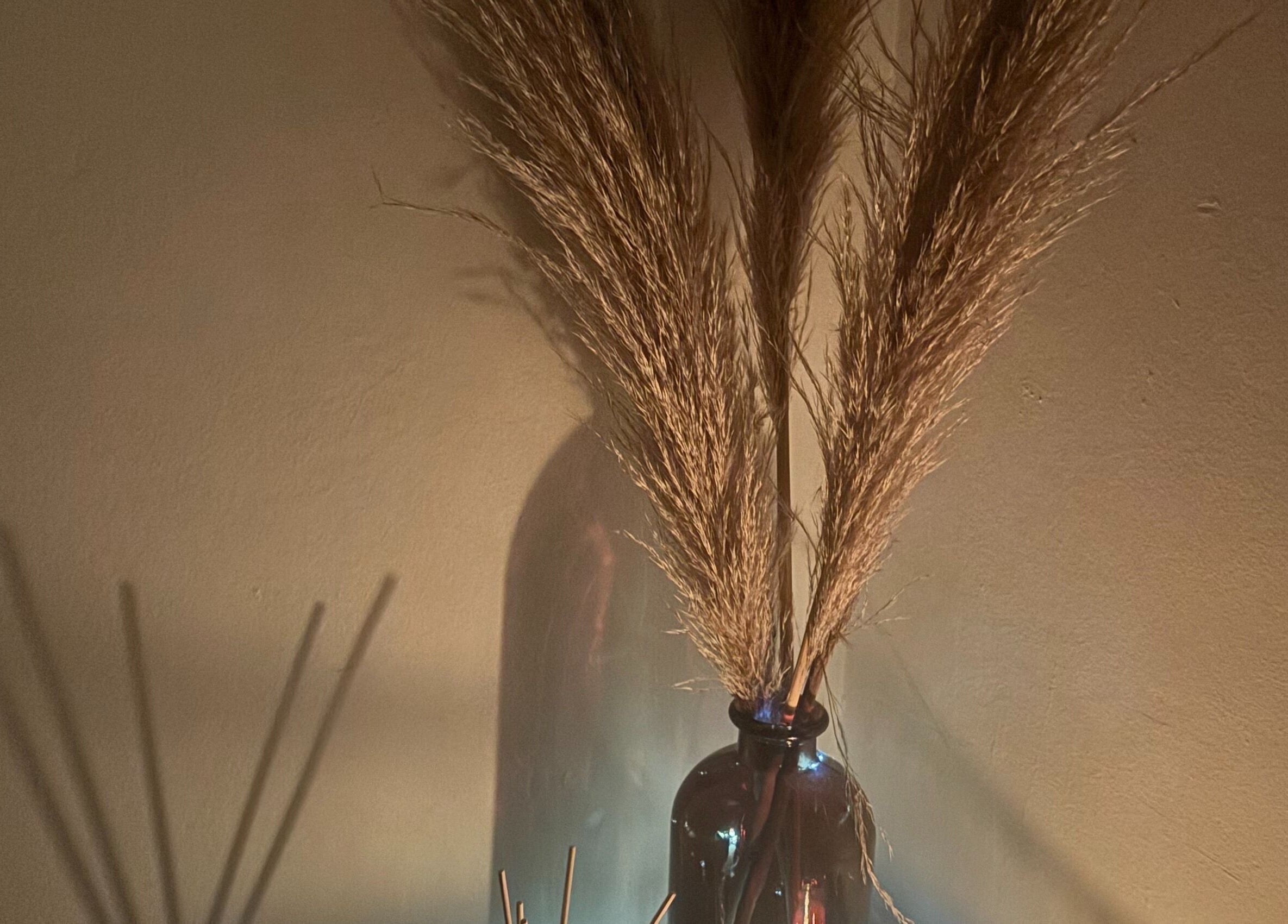 Elegant dried grasses in a vase at Wellness by Tamara, Kidderminster, England, GB.