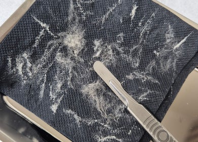 Dermaplaning tool and exfoliated skin flakes at Julia Plas Skin at The House of Hair, Alsager, England, GB.