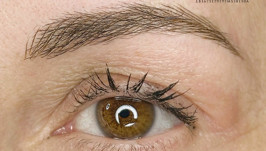 Imagen 1 de Dermabrow