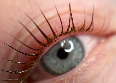 Close-up of expertly applied lashes at Electric Lashes UK in Bedford, England, GB.