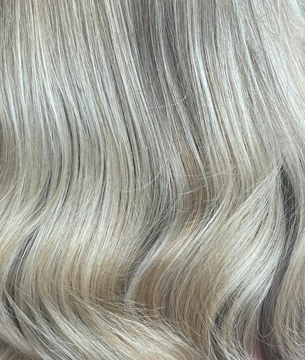 Aimee Rose Hair изображение 2