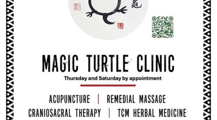 Immagine 3, Magic Turtle Clinic