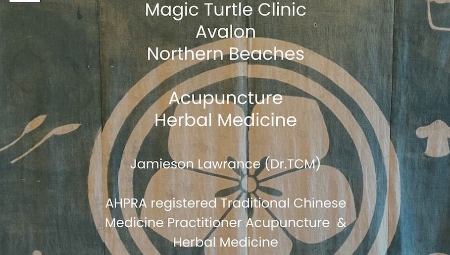 Magic Turtle Clinic, bilde 1