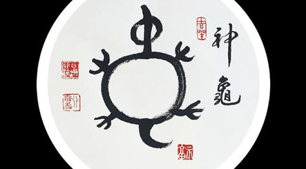 Magic Turtle Clinic, bilde 2