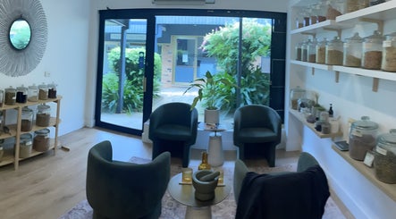 Magic Turtle Clinic, bilde 3
