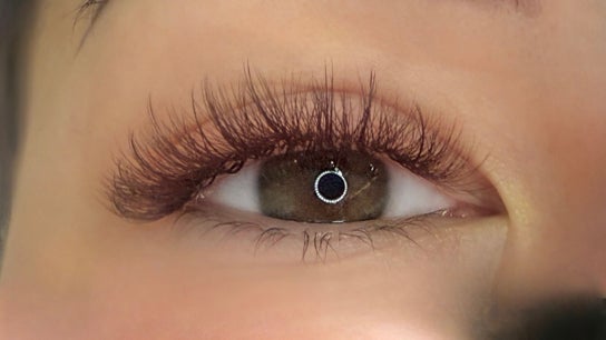 Beauty Lash Bar