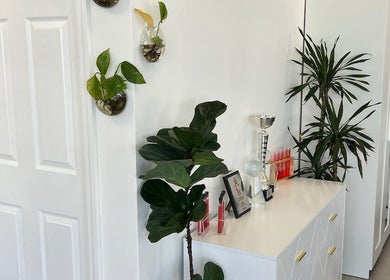 Plants and chic decor in Sandu Beauty & Wellness Hollywood, Florida, US create a serene ambiance.