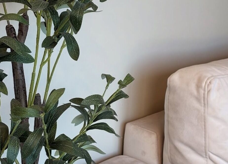 A plush sofa and leafy plant create a serene ambiance at Nails by Evangelia, Pontefract, England, GB.