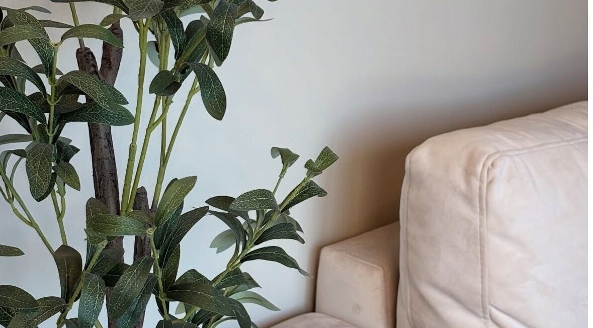 A plush sofa and leafy plant create a serene ambiance at Nails by Evangelia, Pontefract, England, GB.
