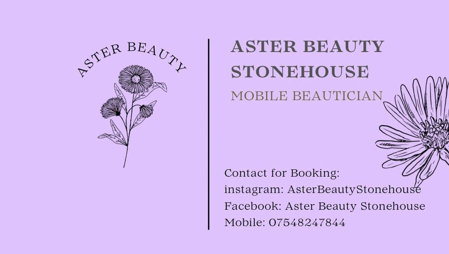 Aster Beauty – kuva 1