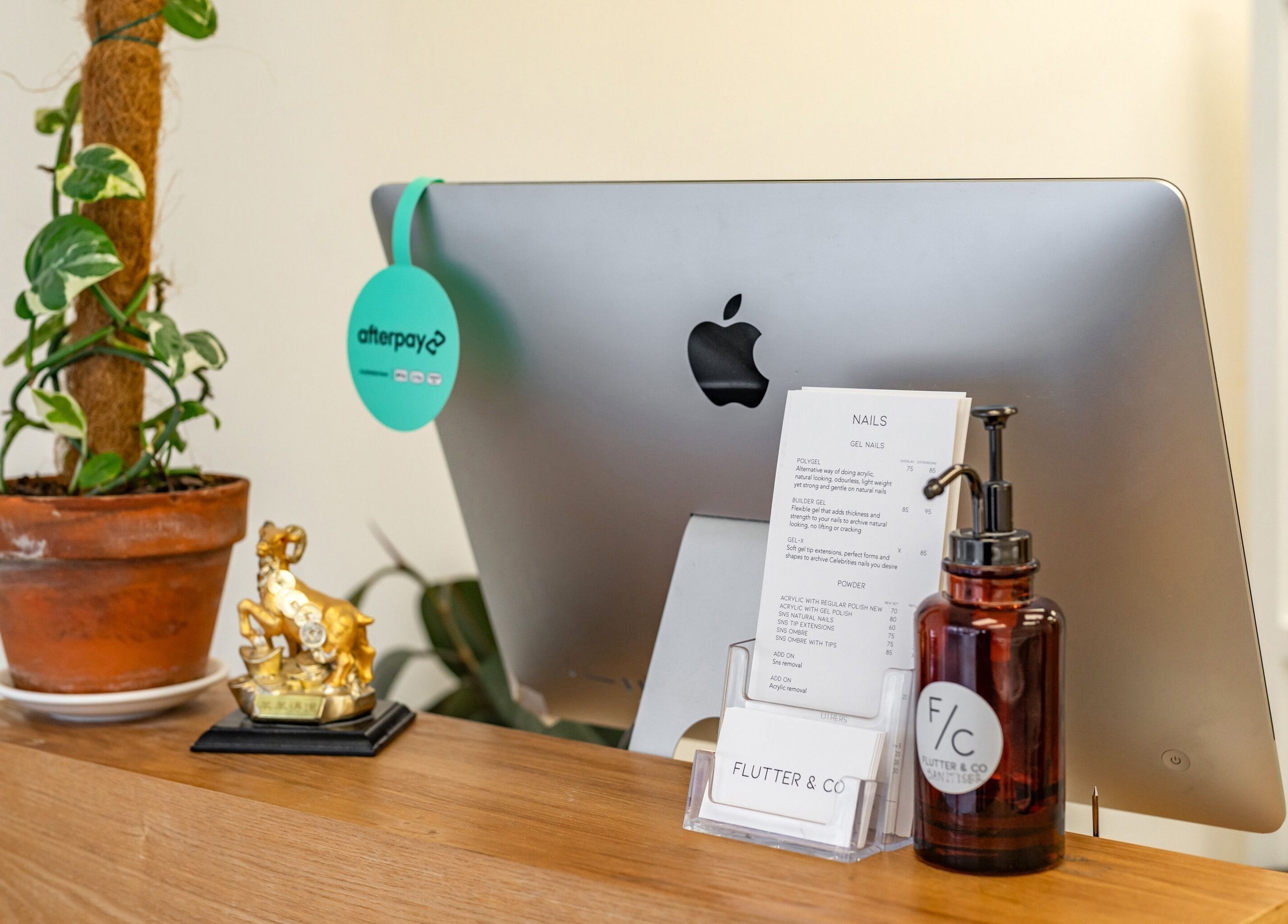 Reception area at Flutter & Co, Auckland, NZ with a computer, plant, and décor enhancing the ambiance.