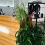 Tema Hair Zone