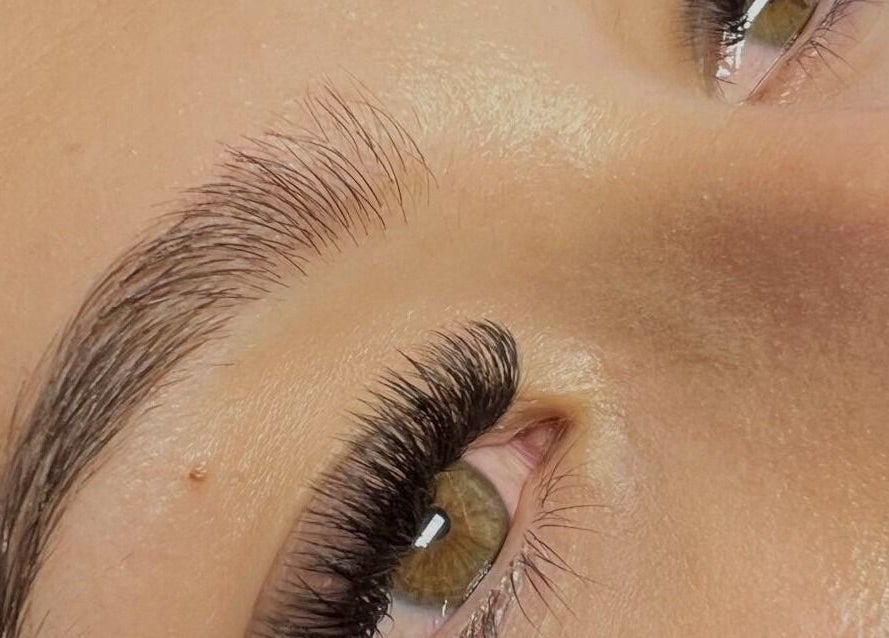 Close-up of styled eyelashes at The Eye Studio, Auckland, Auckland, NZ. Enhancing beauty and elegance.