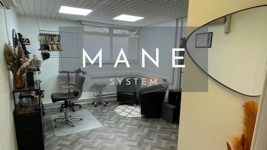 The Mane System