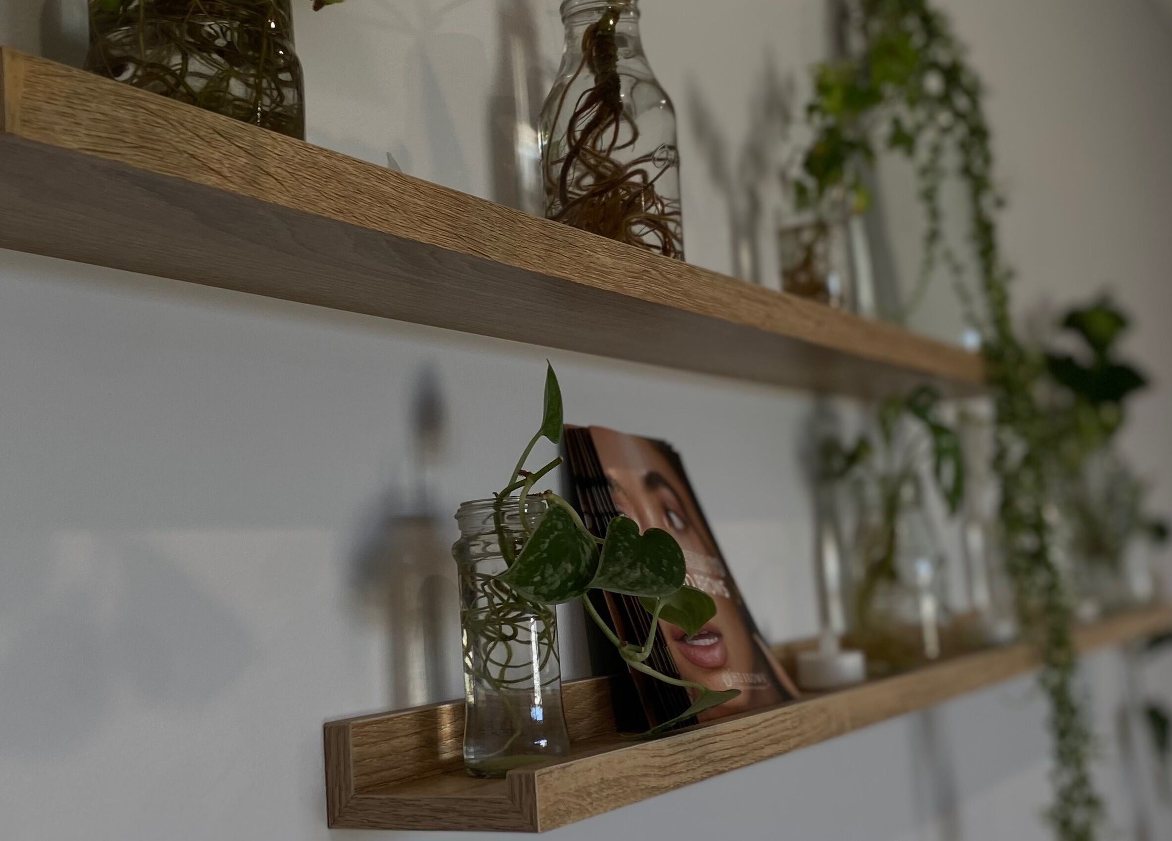 Elegant shelves with greenery and decor at Reset Wellness Studio, Baldivis, Western Australia, AU.
