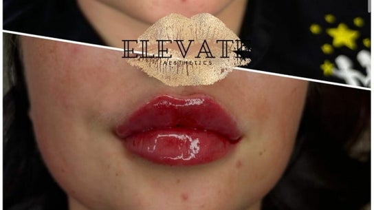 Elevate Aesthetics