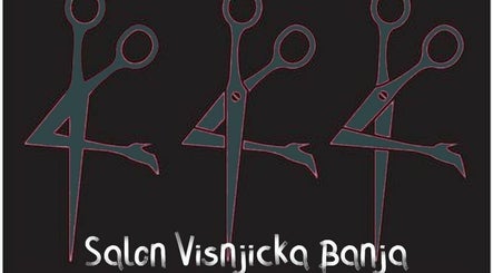 Salon Visnjicka Banja