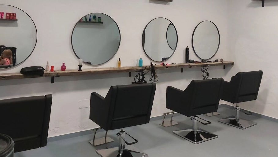 The Hair Fairy, bilde 1