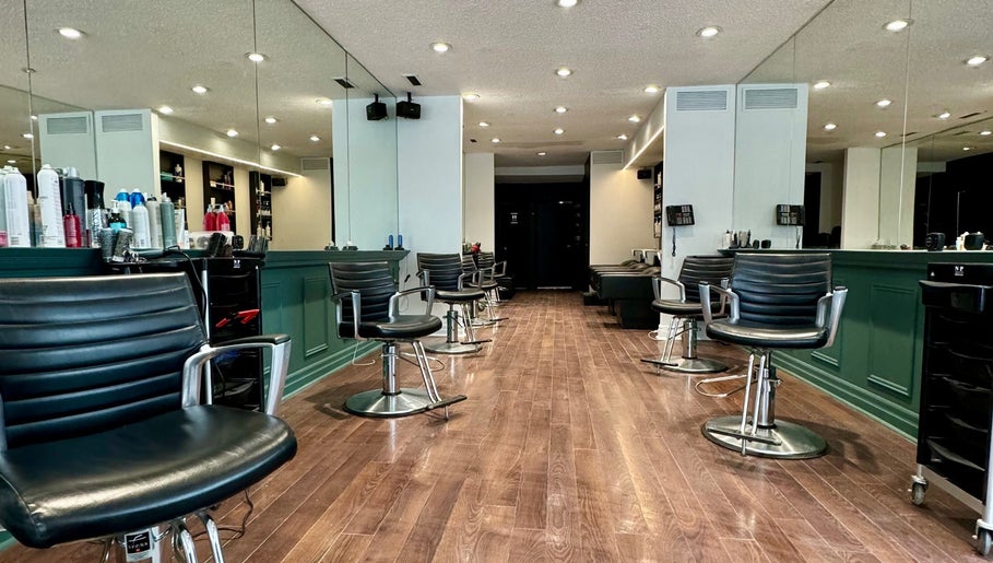 Salon Pierre Alexandre – obraz 1