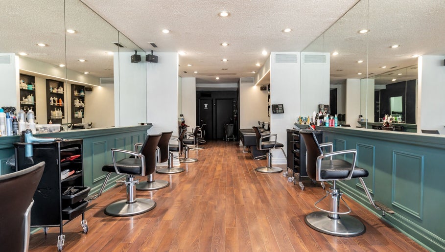 Salon Pierre Alexandre, bilde 1