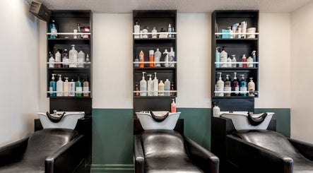 Salon Pierre Alexandre, bilde 2