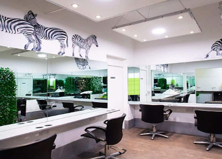 Modern salon interior at Kerry Carroll Hair Design, Edinburgh, Scotland, GB, featuring zebra wall art and sleek chairs.