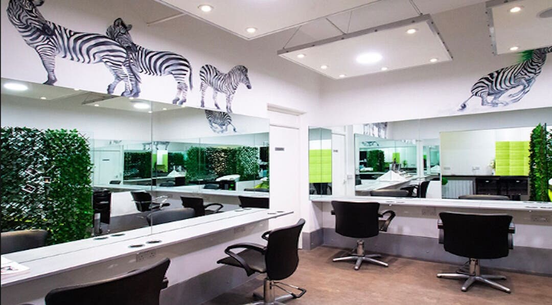 Modern salon interior at Kerry Carroll Hair Design, Edinburgh, Scotland, GB, featuring zebra wall art and sleek chairs.