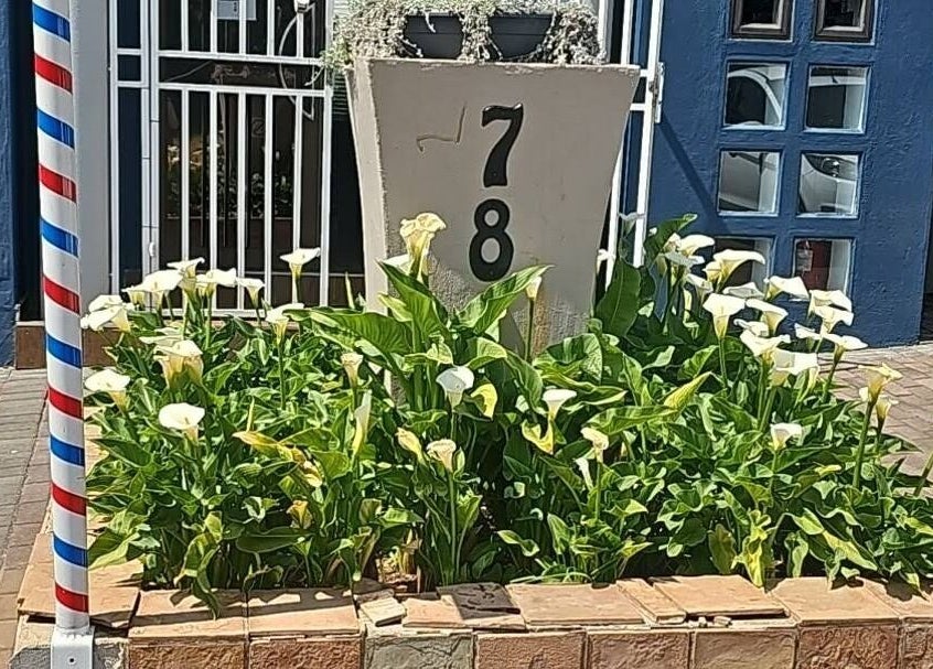 Entrance of Alicia Stylist at Hair on Rubenstein, Moreleta Park, Pretoria with flowers and barber pole.