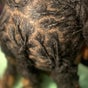 I Art Braids and Locs by Ty