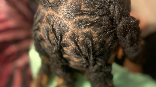 I Art Braids and Locs by Ty