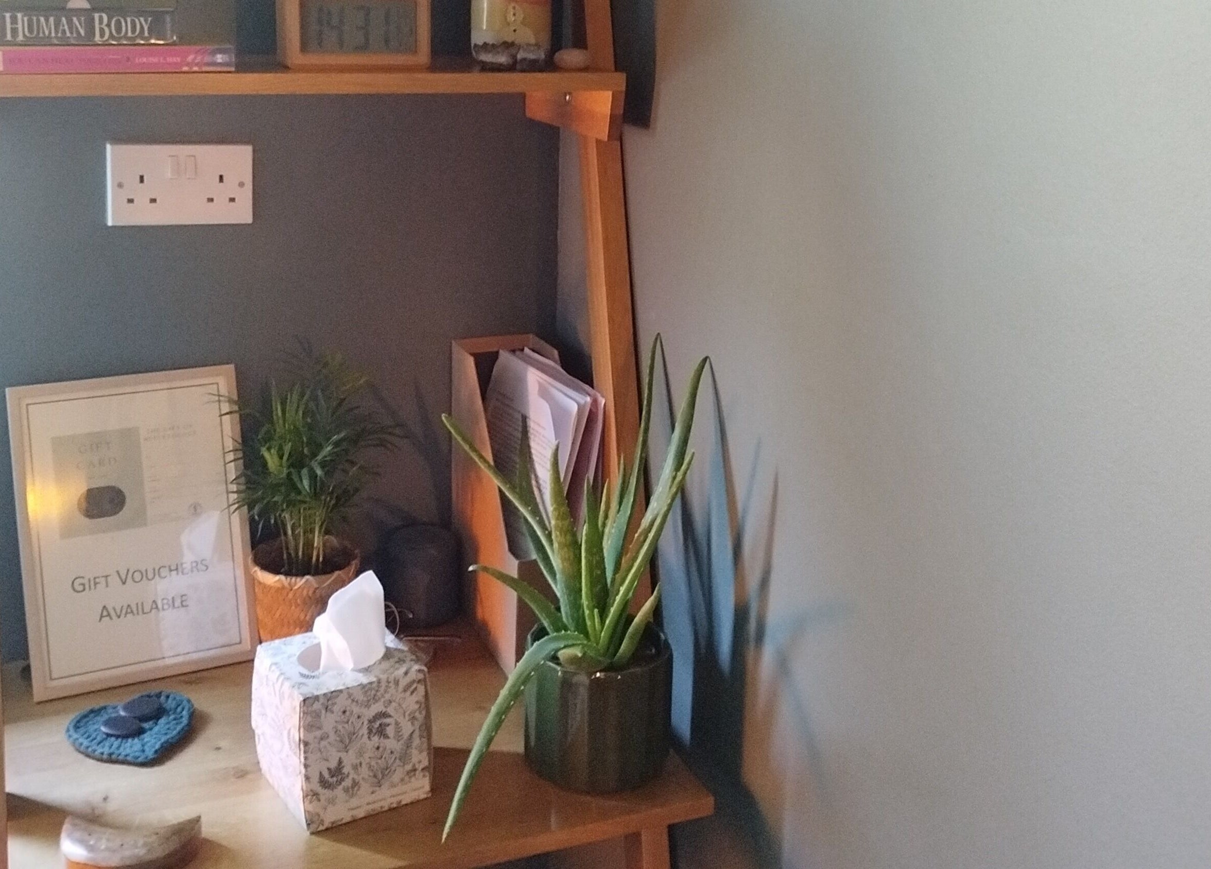 Cozy corner with plants at Clare Carson Reflexology at The Luma Practice, Salford, England, GB.