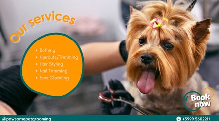 Pawsome Pet Grooming image 2