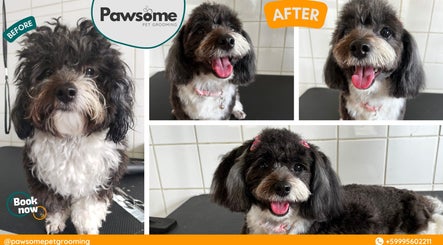 Before and after grooming at Pawsome Pet Grooming, Willemstad, Curaçao, CW, showcasing a happy dog's transformation.